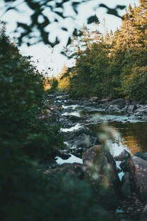林间溪流美景