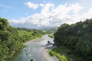 山间蜿蜒河流与葱郁植被
