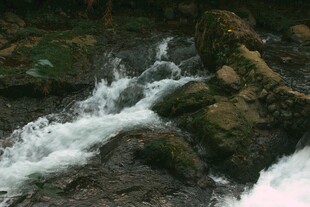 山间溪流潺潺流淌