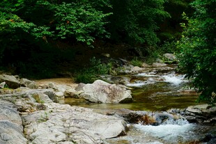 山间溪流潺潺过石景