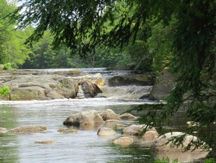 山间溪流潺潺风景如画