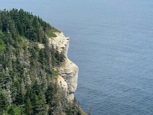 悬崖边的葱郁山林与大海