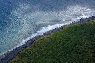海岸风光 绿草与海浪交织