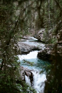 林间溪流潺潺美景
