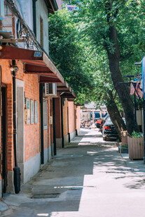 宁静街道旁的建筑与绿树