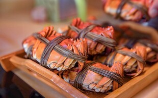 美味捆绑大闸蟹待品尝