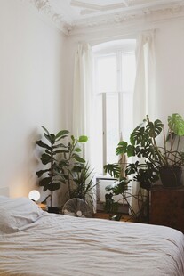 简约卧室绿植装点温馨空间