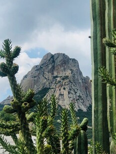 山间仙人掌与巍峨岩石景观