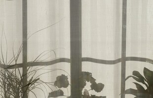 简约窗帘搭配绿植景致