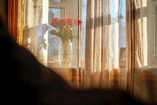 窗前花瓶与朦胧窗帘景致