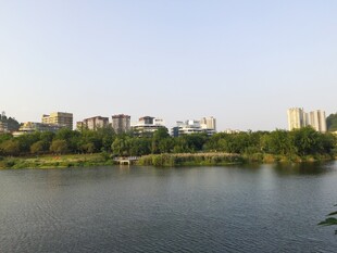 城市河面