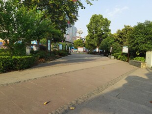 公园路面
