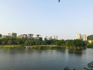 城市湖面