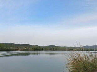 宁静湖畔风光