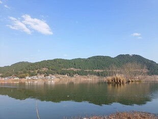 湖畔美景