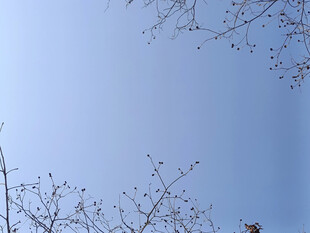 蓝天