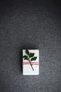 简约绿叶装饰白色礼品盒