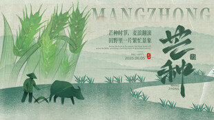 二十四节气芒种横板海报