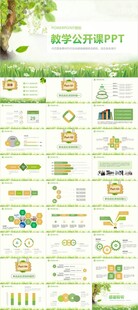 教学公开课PPT