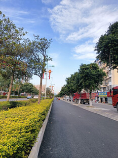 城市街景