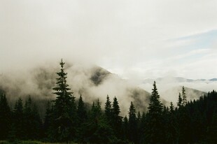 云雾缭绕中的山林美景