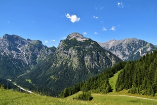 壮丽高山草原美景
