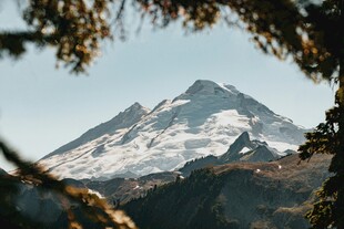 巍峨雪山与葱郁林木景观