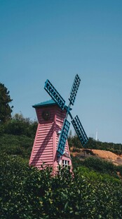 田园中的彩色风车景观
