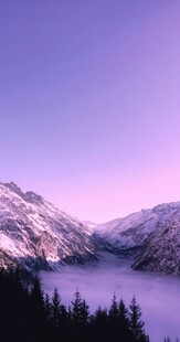 雪山晨雾中的静谧森林