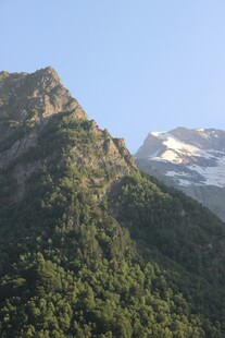 青山覆绿植被繁茂的山峰