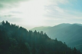 山林晨光美景
