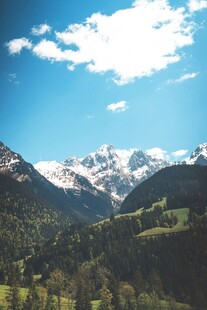 壮丽雪山下的葱郁山林