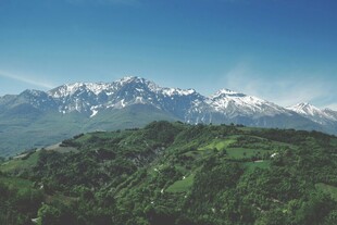 雪山下的翠绿山林