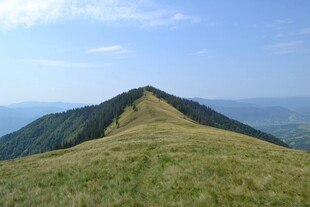 高山草甸美景