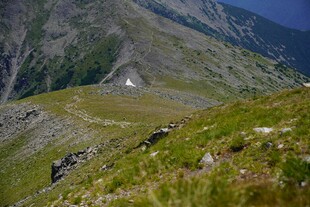 山间绿野中的清新景致