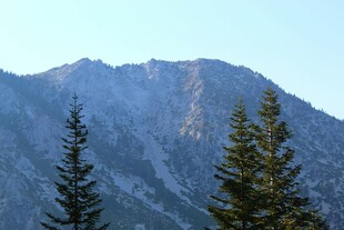 巍峨山峦与挺拔松树