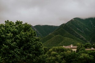 山间绿意中的隐秘建筑