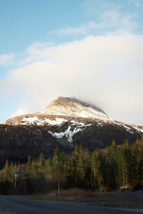 雪山下的森林美景