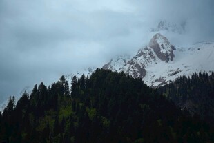 云雾缭绕的雪山与森林
