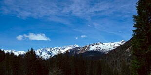 雪山森林蓝天美景
