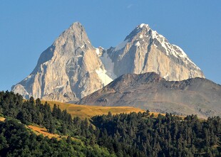 巍峨雪山下的葱郁山林