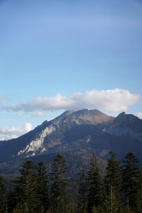 巍峨山峦与葱郁林木景观