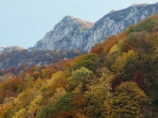 秋日山林间的壮丽山景