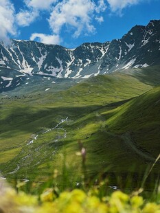 雪峰与绿野繁花