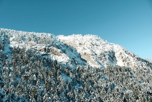 雪覆山林的壮美山景
