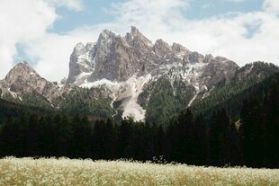 壮丽雪山下的广袤草地