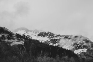 雪山森林景观