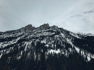 雪山森林景观