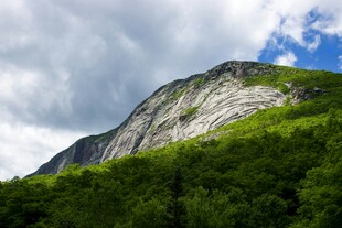 青山巍峨绿意浓