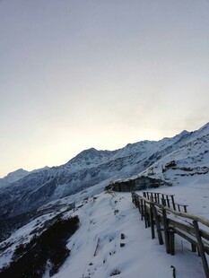 雪山木栏美景
